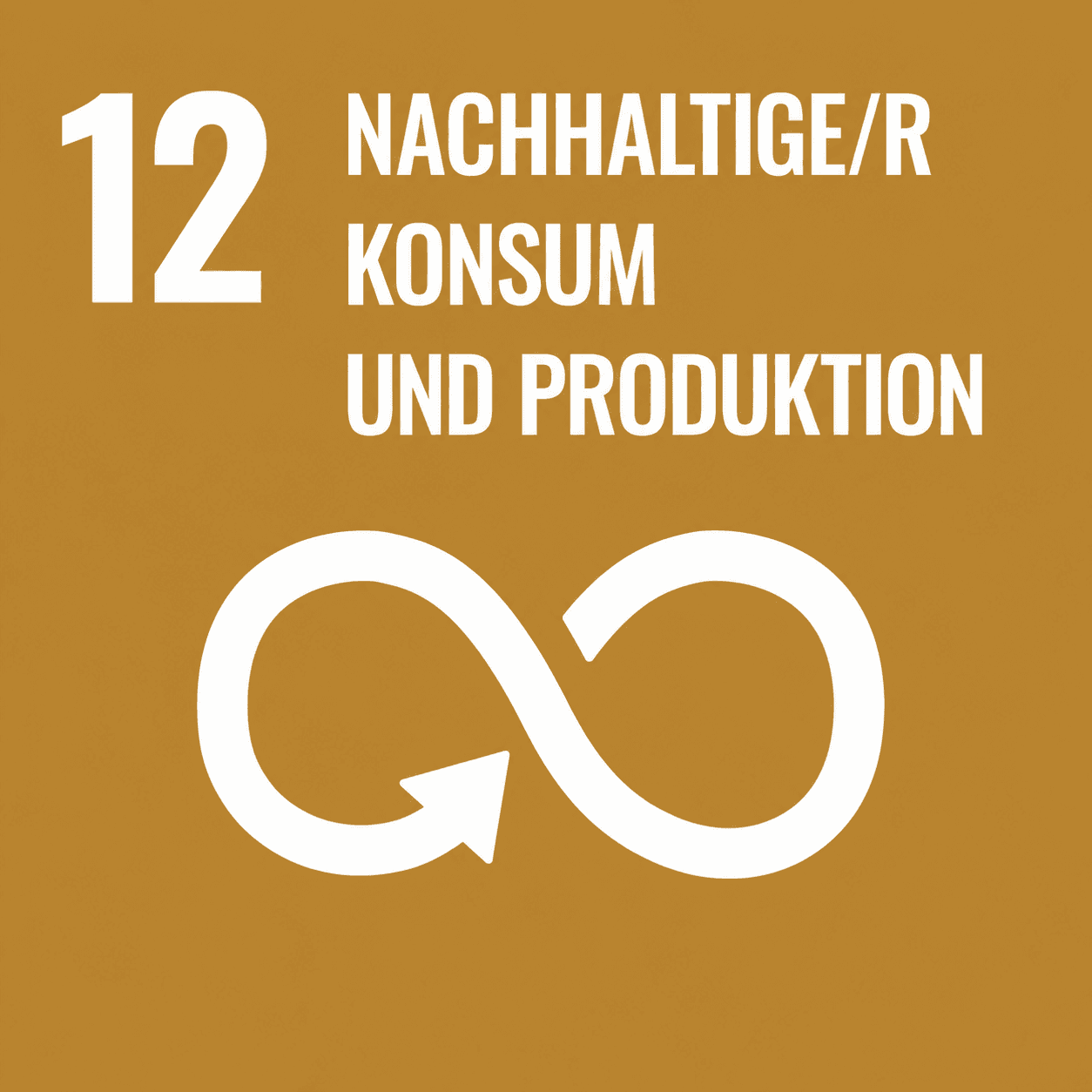 Nachhaltiger Konsum und Produktion