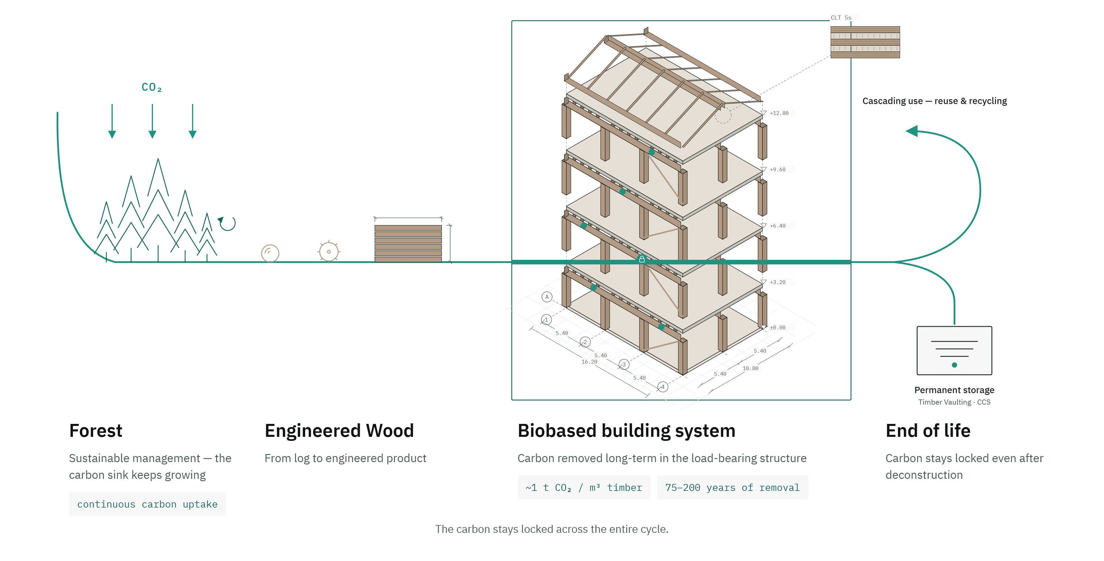 How we connect forest, building and the carbon market